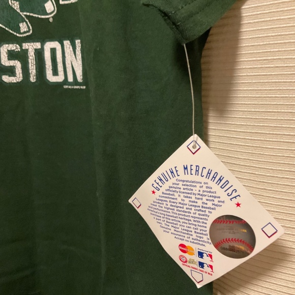 Boston Red Sox Fenway Park Green - Picture 2 of 2